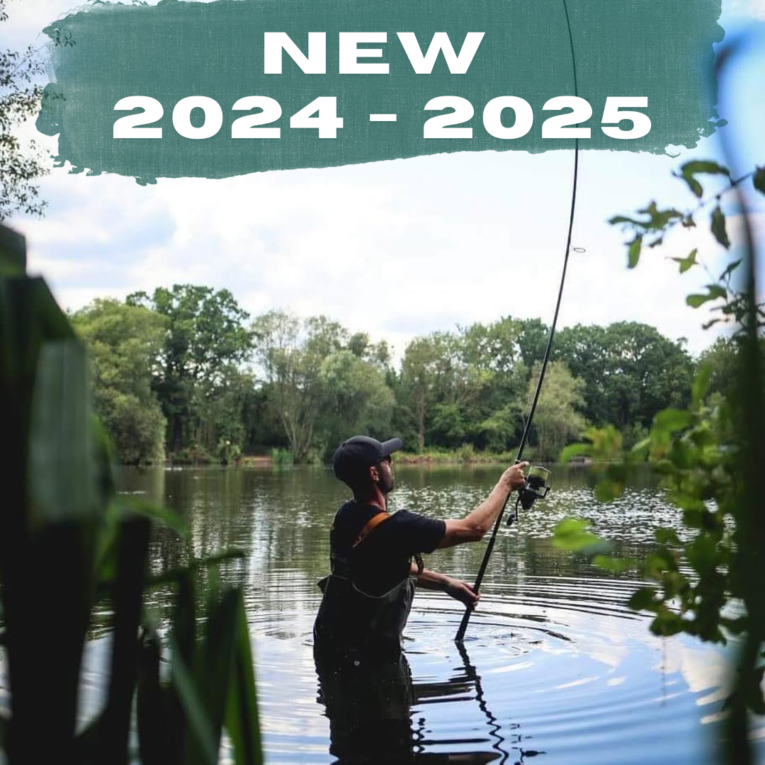 Shimano 2024 - 2025