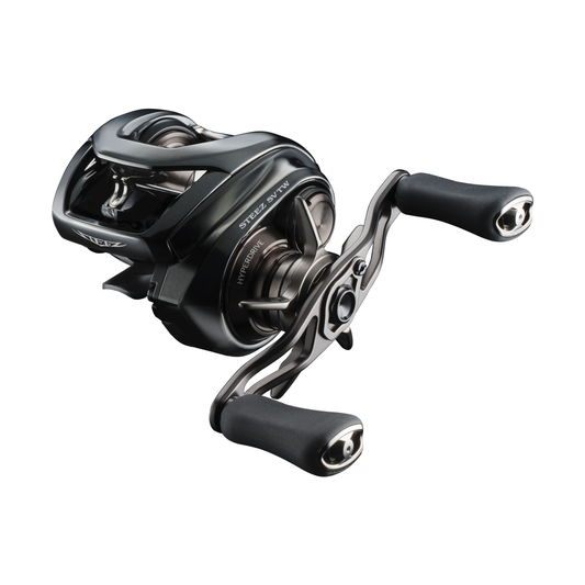 DAIWA 24 Steez SV TW