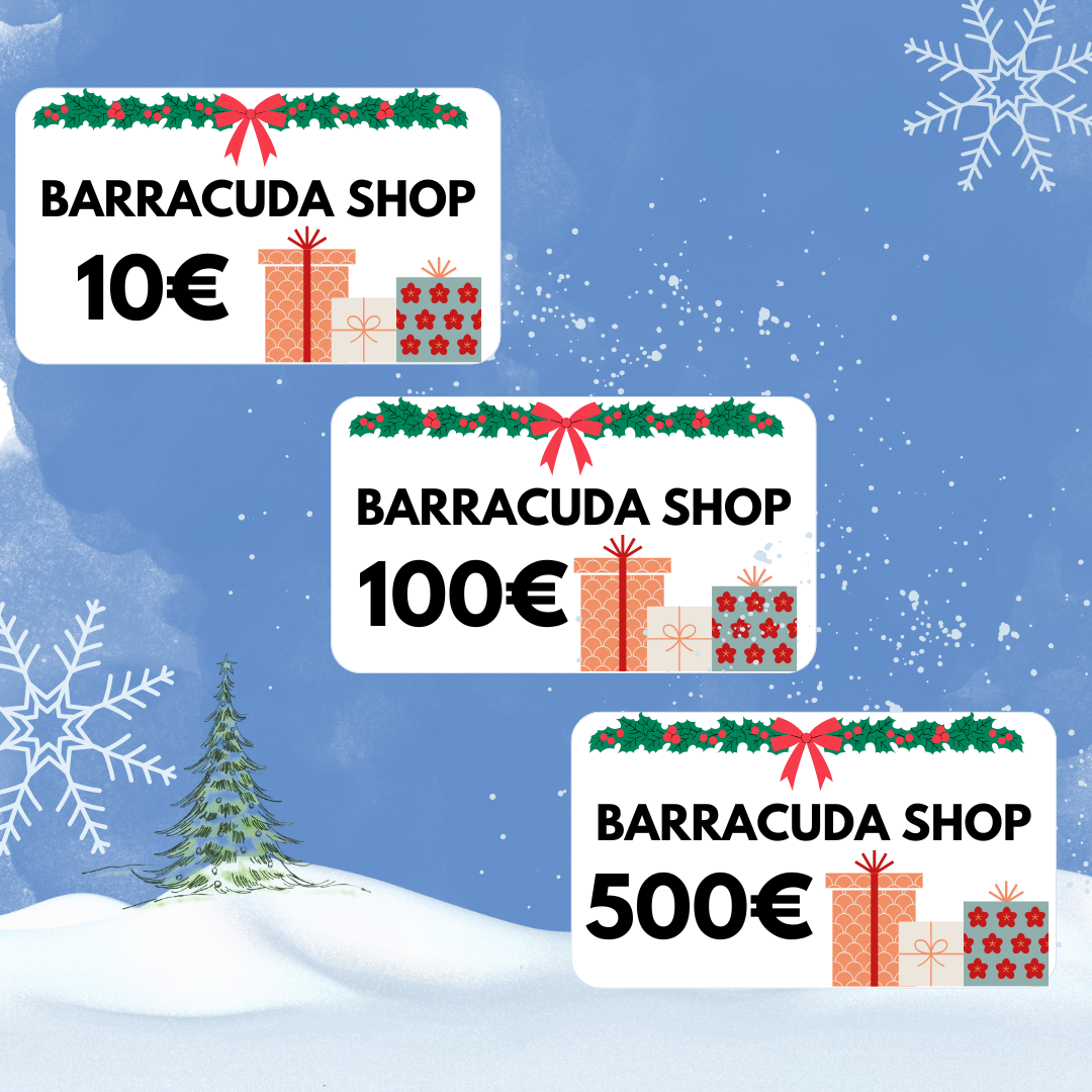 Barracuda Shop Gift Cards in 10Ã¢â€šÂ¬, 100Ã¢â€šÂ¬, and 500Ã¢â€šÂ¬ denominations with festive decorations on a snowy background.