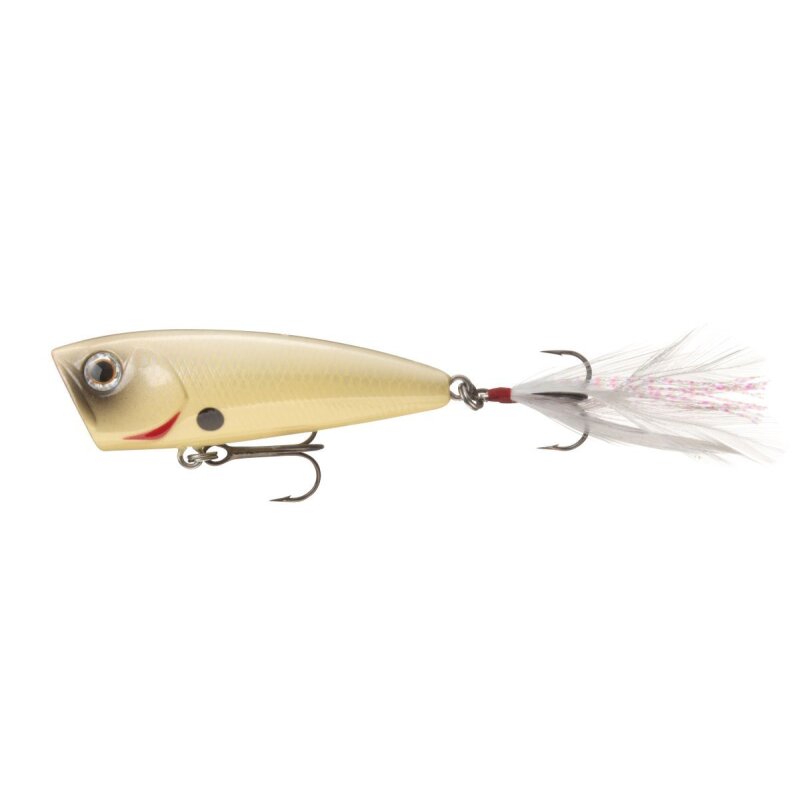 DAIWA Steez Popper 60F