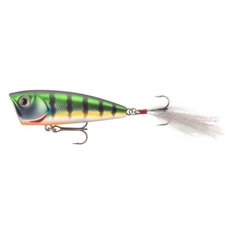 DAIWA Steez Popper 60F